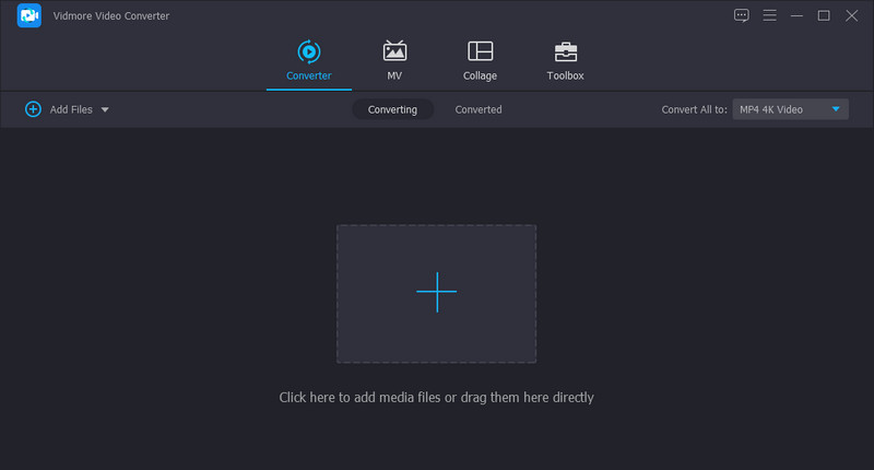 Vidmore RAM-Datei importieren
