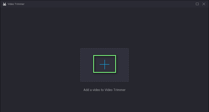 Vidmore Video importieren