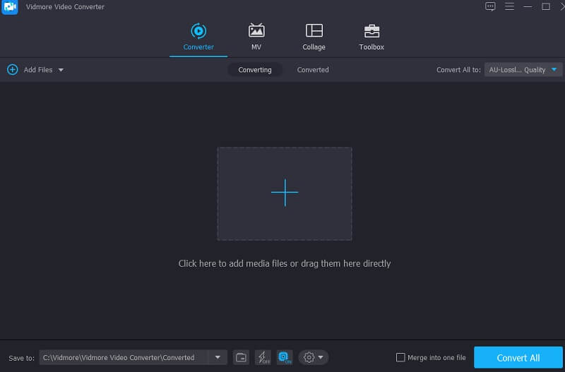 MKV hinzufügen Vidmore