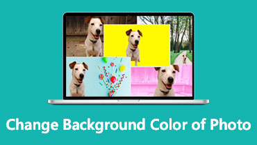 Hintergrundfarbe eines Fotos ändern