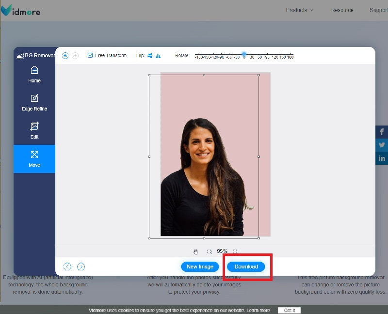 Bild herunterladen Vidmore