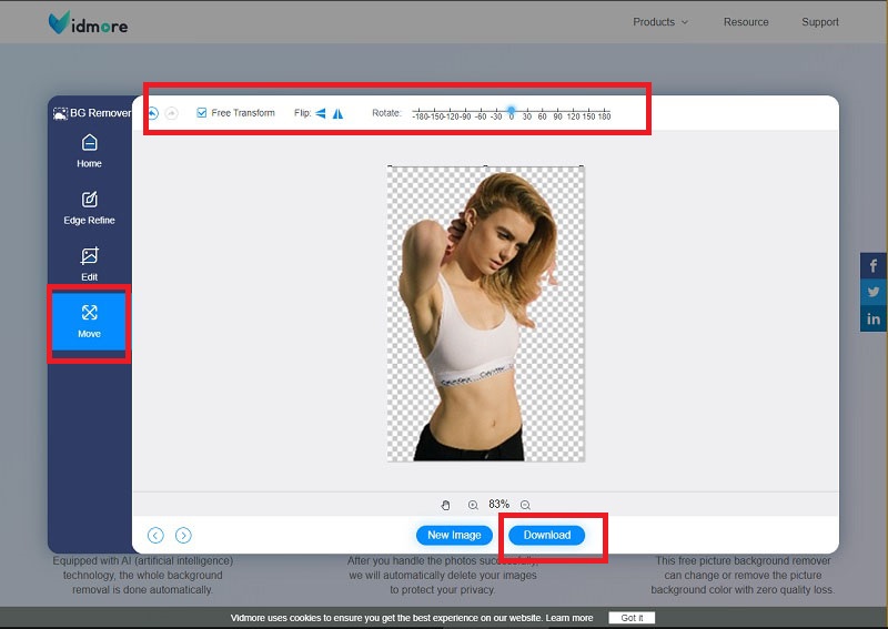 Mit Vidmore Background Remover speichern