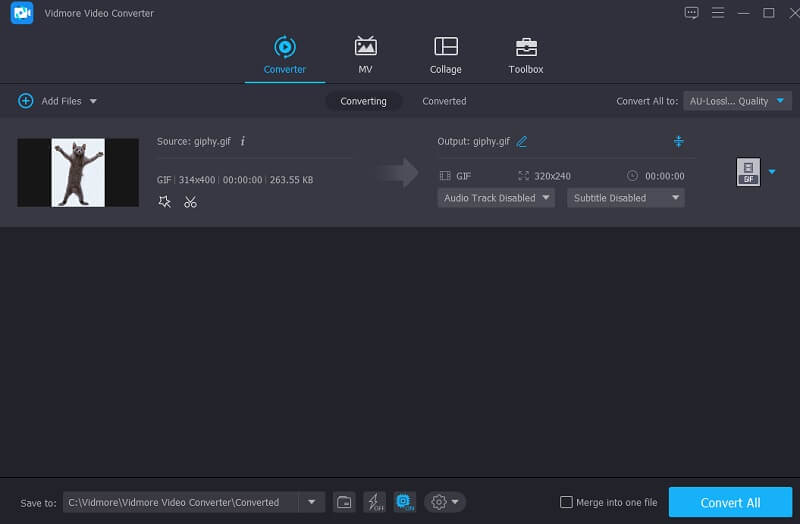 GIF in Vidmore konvertieren