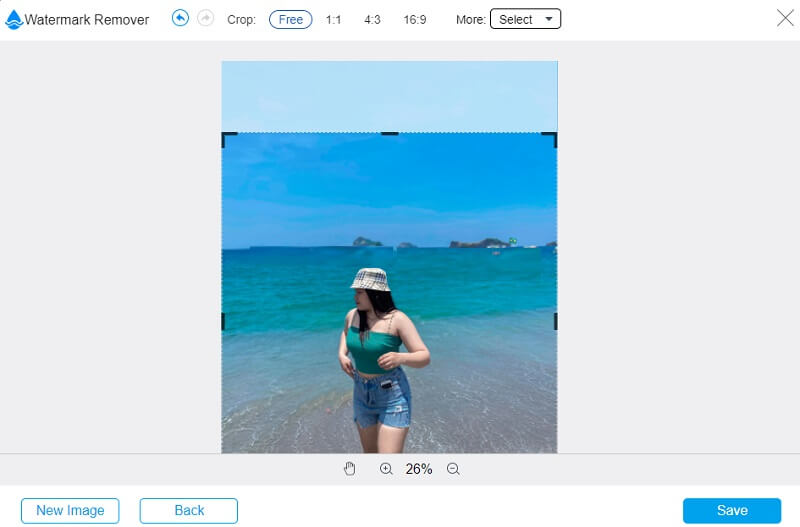 Bilder zuschneiden Vidmore