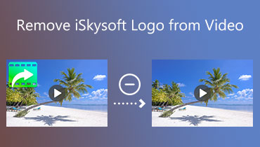 iSkysoft‑Logo aus Video entfernen