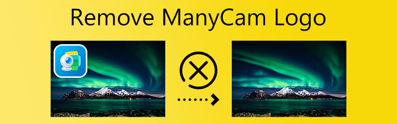 ManyCam‑Logo entfernen