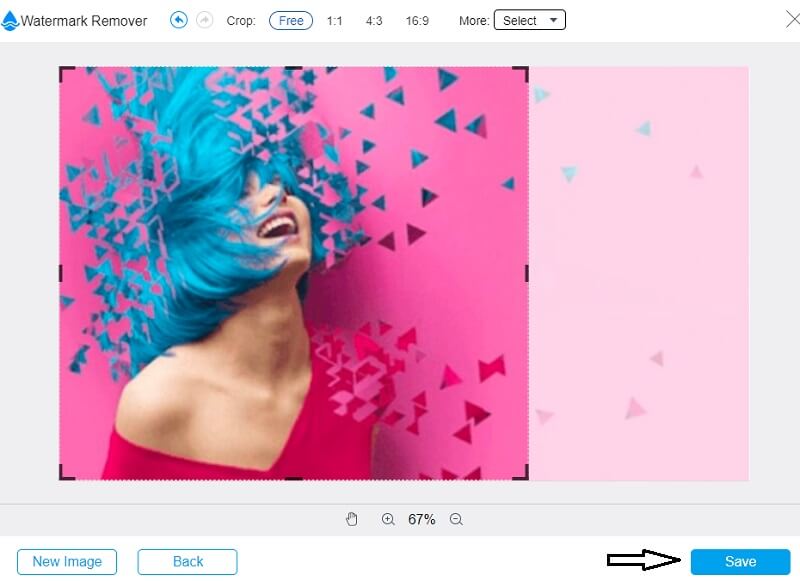 Bild mit Vidmore speichern