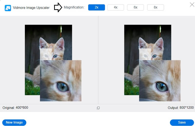 Vergrößerung wählen Vidmore