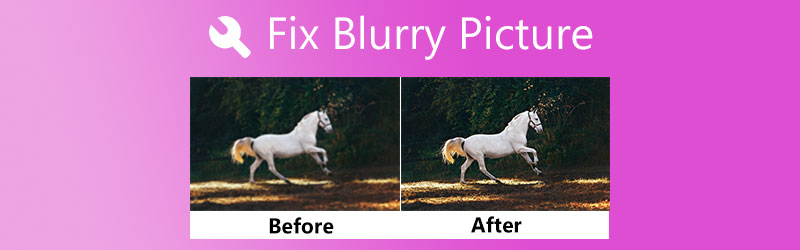 Verschwommenes Bild korrigieren