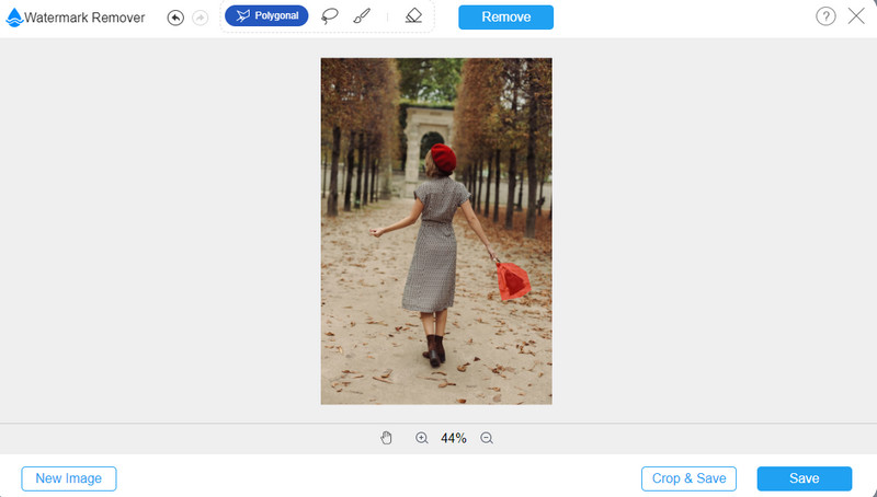 Kostenloser Online-Wasserzeichen-Entferner