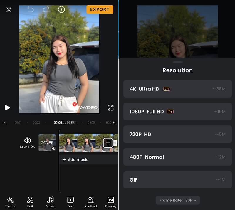 VivaVideo‑Wasserzeichen entfernen VivaVideo