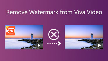 Wasserzeichen aus VivaVideo entfernen
