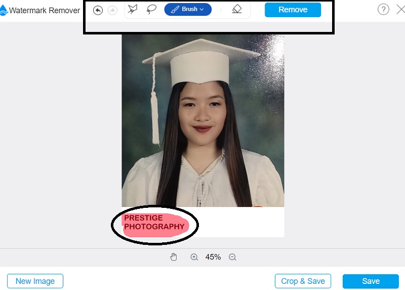 Wasserzeichen mit Vidmore entfernen