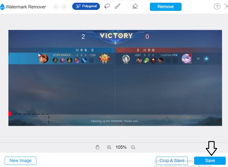 Bildwasserzeichen speichern Vidmore