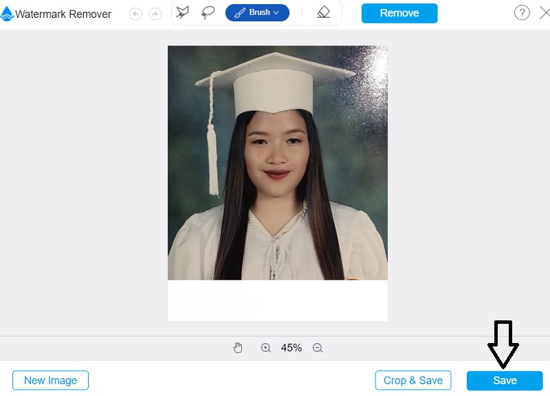 Bilder für Vidmore speichern