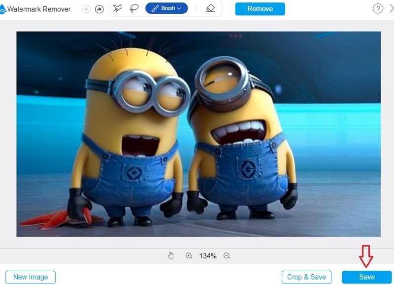 Bilder mit Vidmore speichern