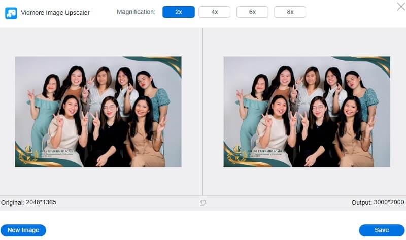 Bildentrauscher Vidmore