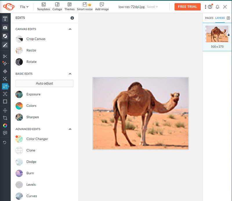 Unschärfe entfernen PicMonkey
