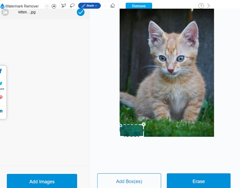 Wasserzeichen mit Apowersoft entfernen