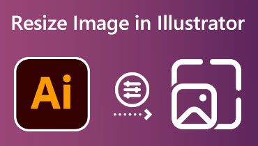 Bilder in Illustrator skalieren