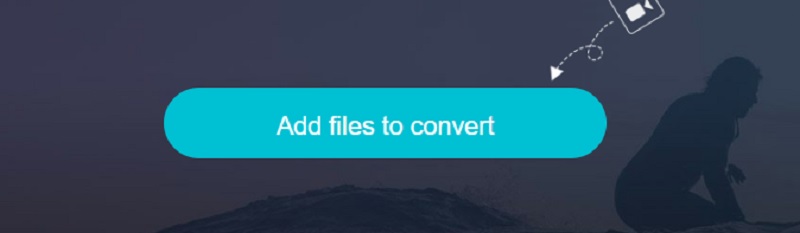 FLAC hinzufügen Online Vidmore