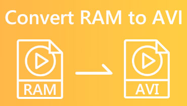RAM in AVI