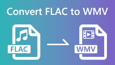 FLAC in WMV