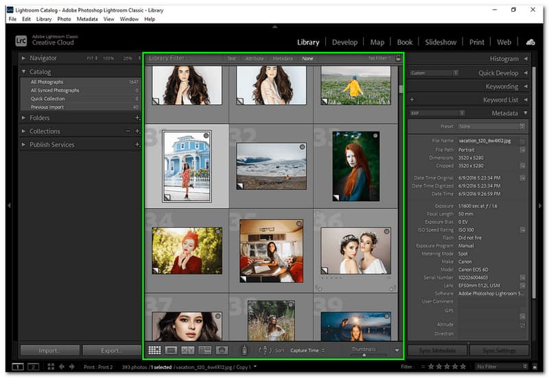 Bilder vergrößern Lightroom Bild auswählen