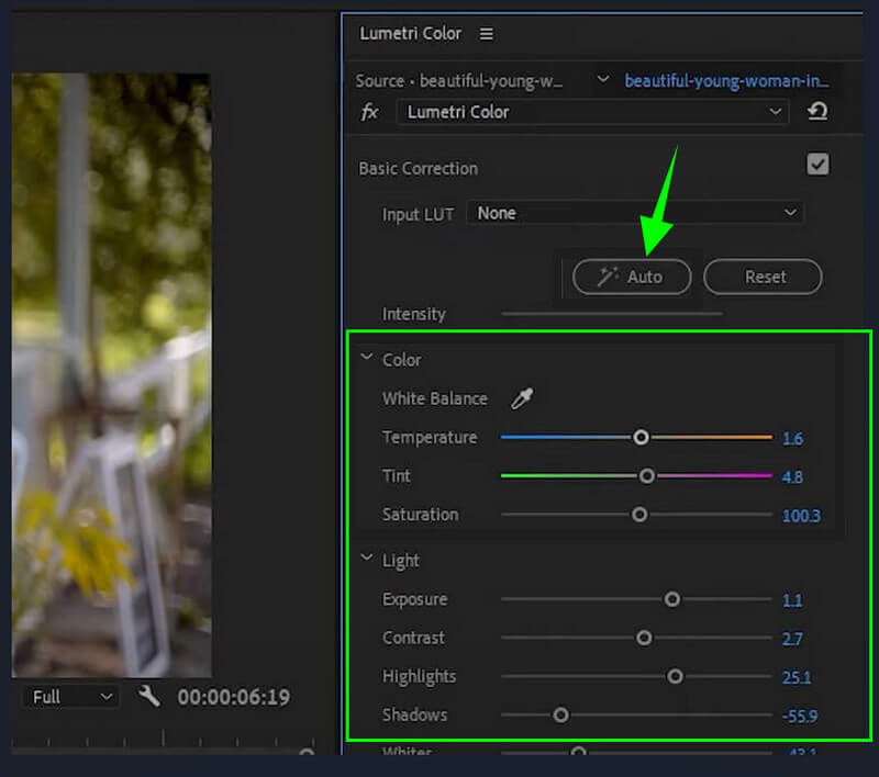 PR überbelichtetes Video korrigieren