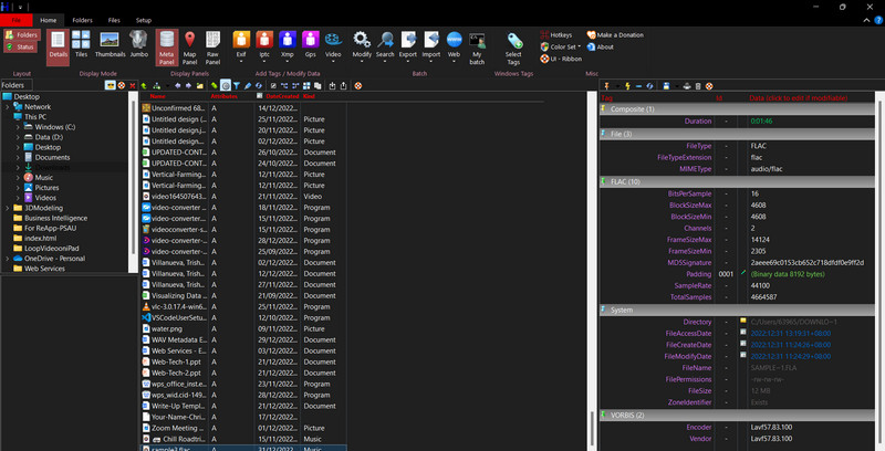 Metadata Plus-Oberfläche