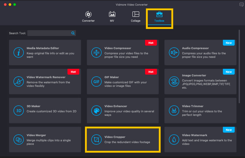 Video mit Vidmore hochladen