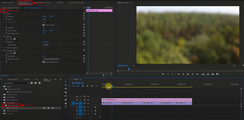 Premiere Video verwischen
