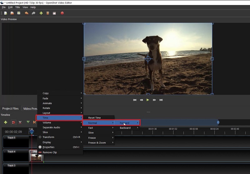 Openshot Video rückwärts
