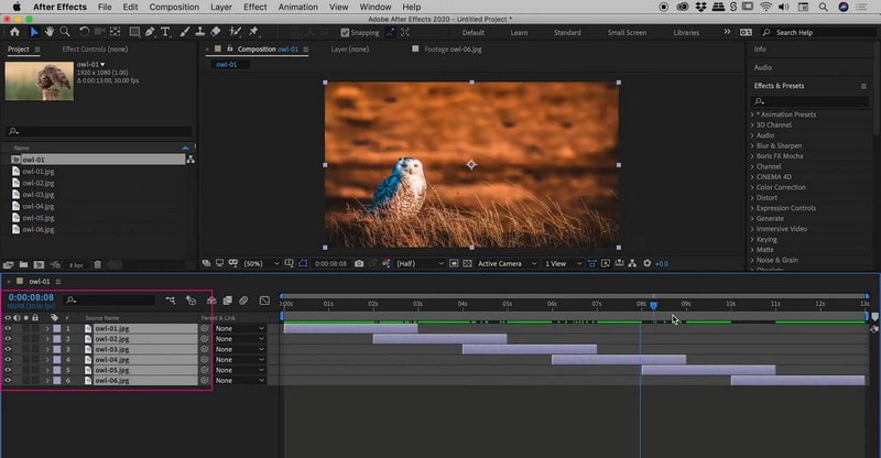 After Effects Premiere Wie man eine Diashow unter Windows und Mac erstellt
