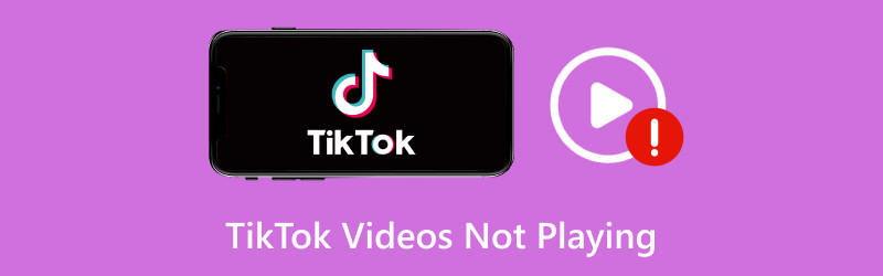 TikTok-Videos werden nicht abgespielt beheben
