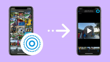 Live Photo in Video umwandeln