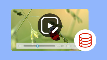 Beste Open-Source-Video-Editoren