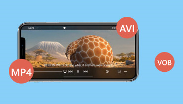 Videoformat auf dem iPhone