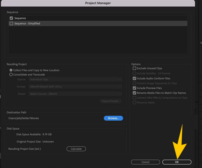 Premiere Pro – Reparatur ruckeliger Videos