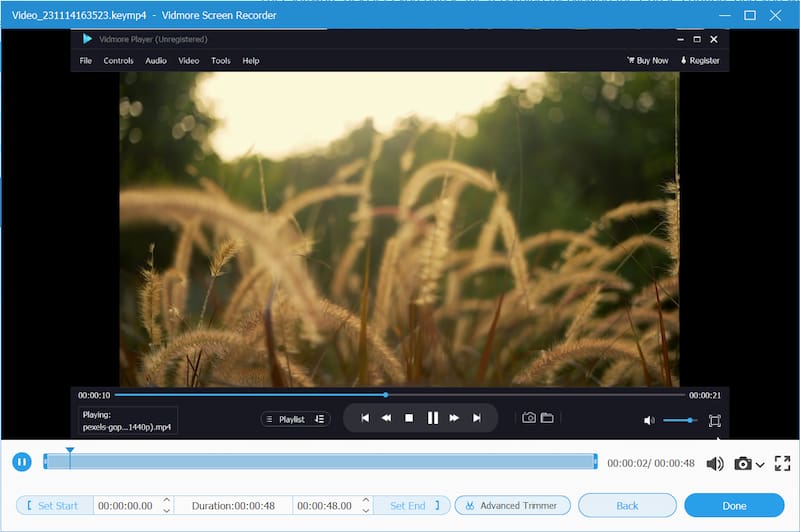Video in Vidmore Screen Recorder aufnehmen