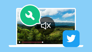 Kein Ton bei Twitter‑Videos beheben