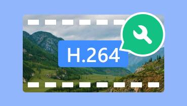 H.264‑Video reparieren