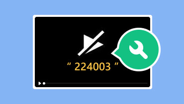 Video kann nicht wiedergegeben werden – Fehlercode 224003