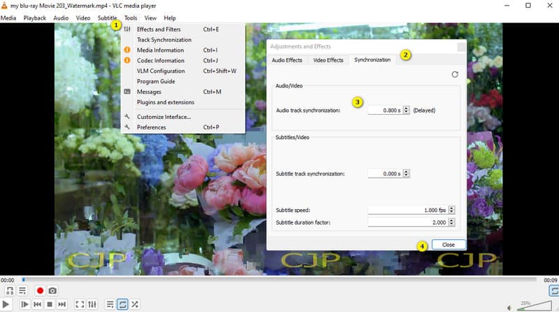 Delay Audio VLC Einstellen