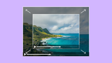 Video-Größenänderer