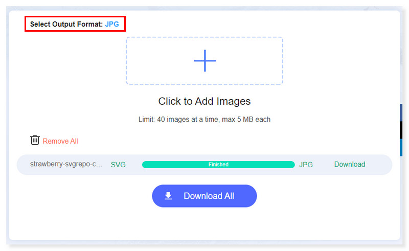 Vidmore Ausgabeformat wählen