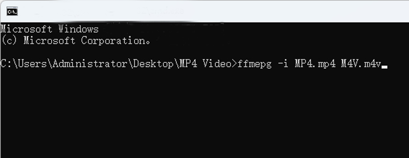 Befehl zum Konvertieren ausführen