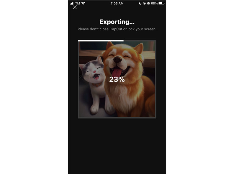 Neu erstellte Diashow exportieren