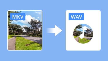 MKV in WAV umwandeln