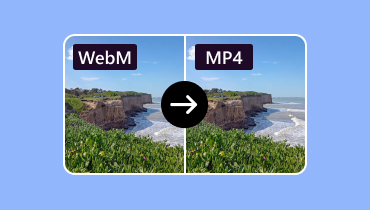 WebM in MP4 umwandeln